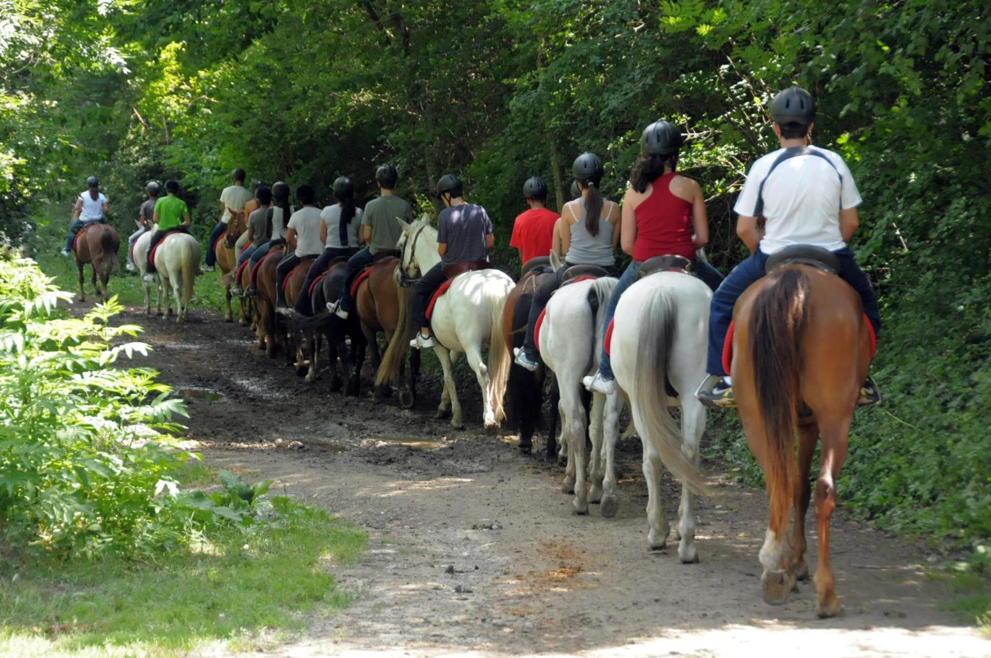 Camping Llavorsí Kültér fotó