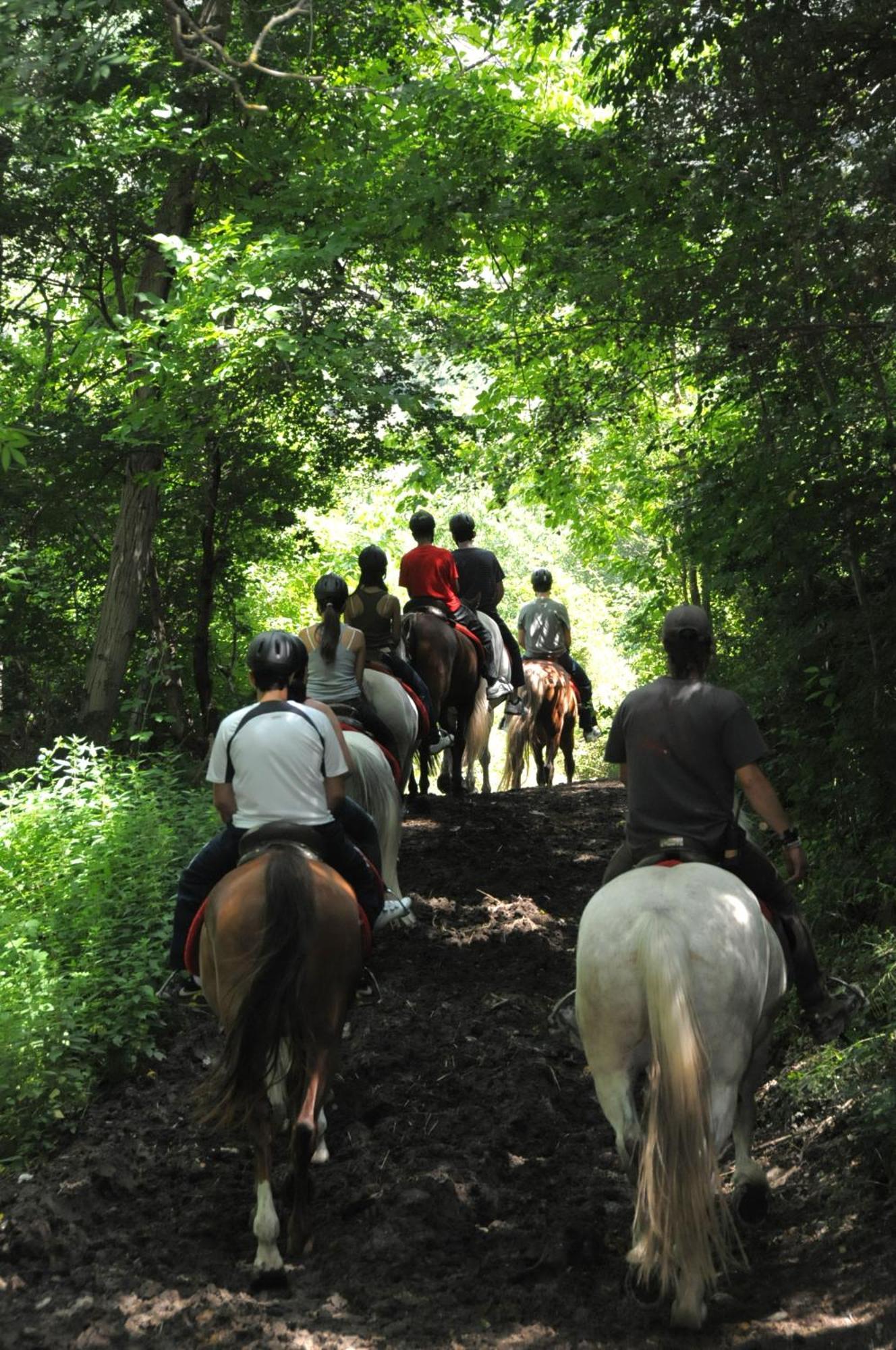 Camping Llavorsí Kültér fotó