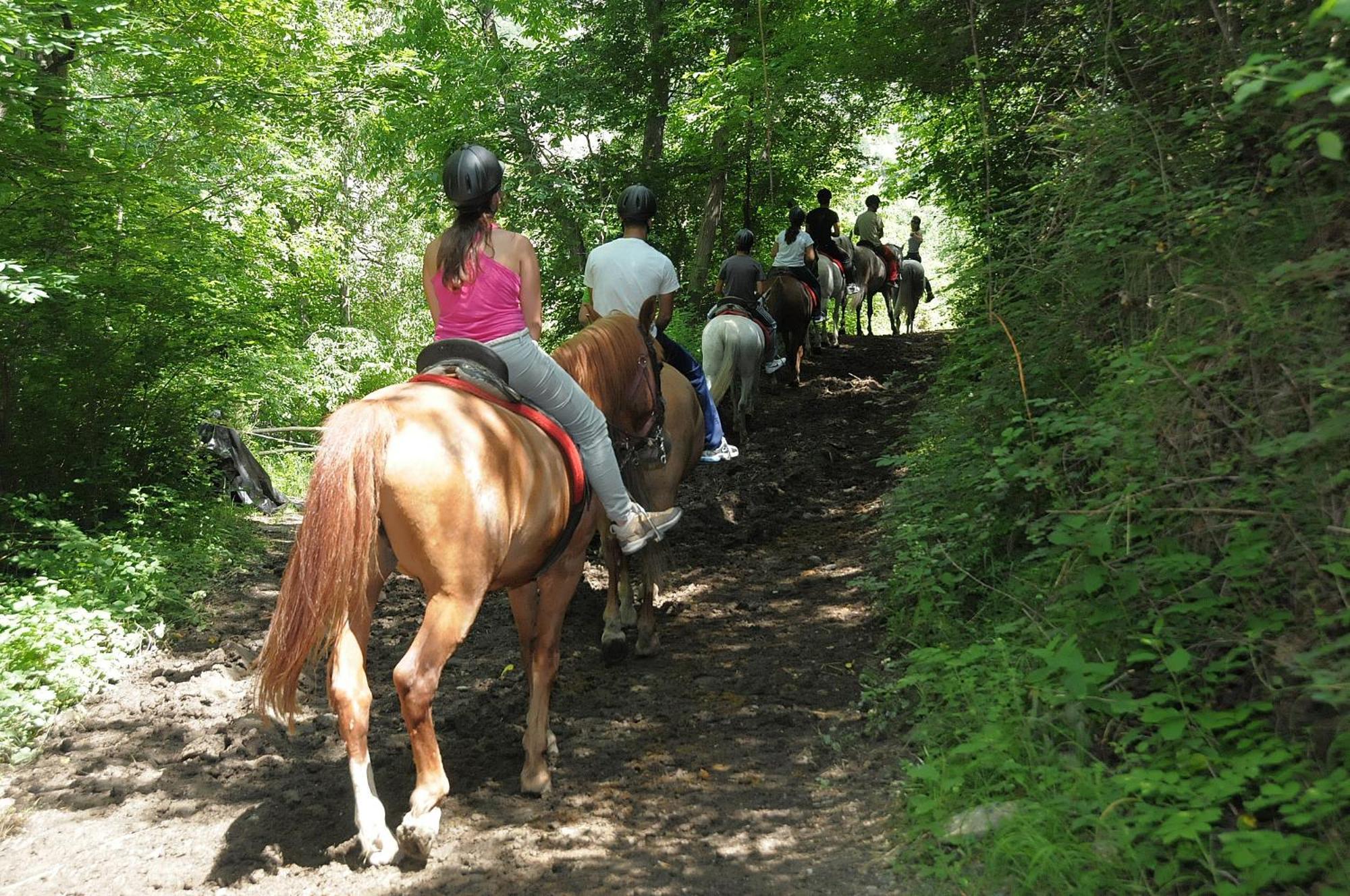 Camping Llavorsí Kültér fotó